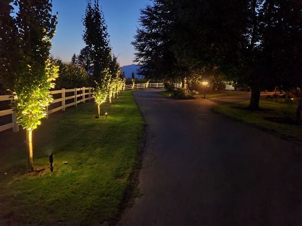 Landscape Lit driveway at night