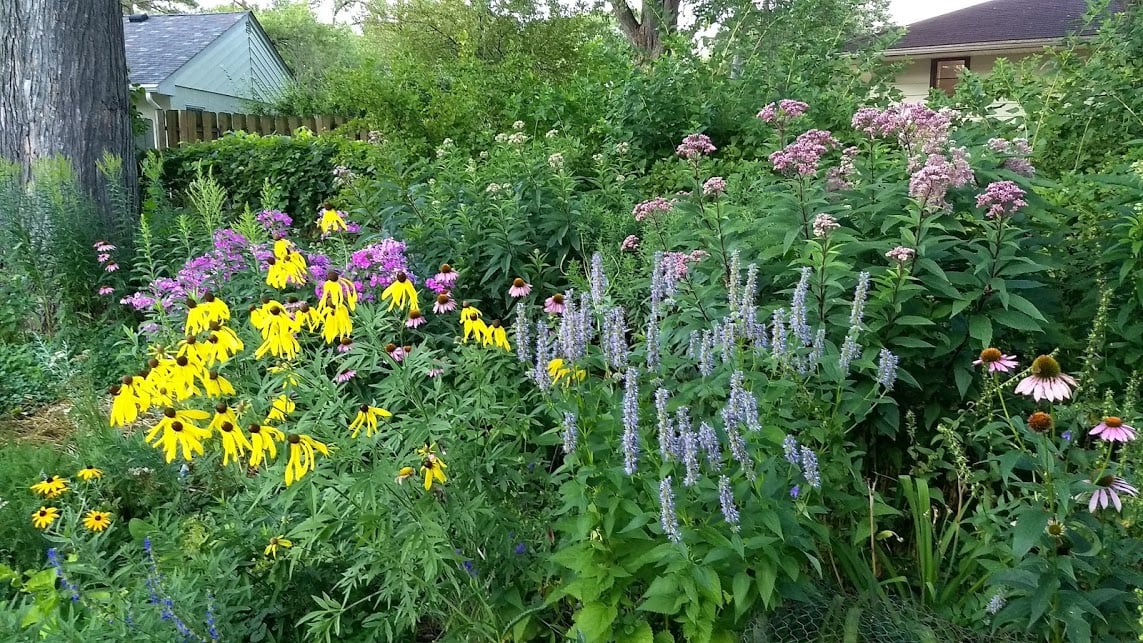 Garden for pollinators