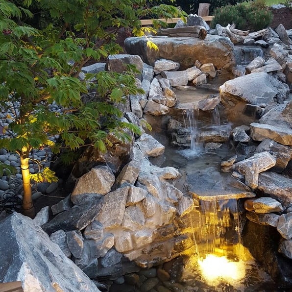 A backyard with a stone-lined waterfall is lit perfectly with Silhouette Landscape lights.