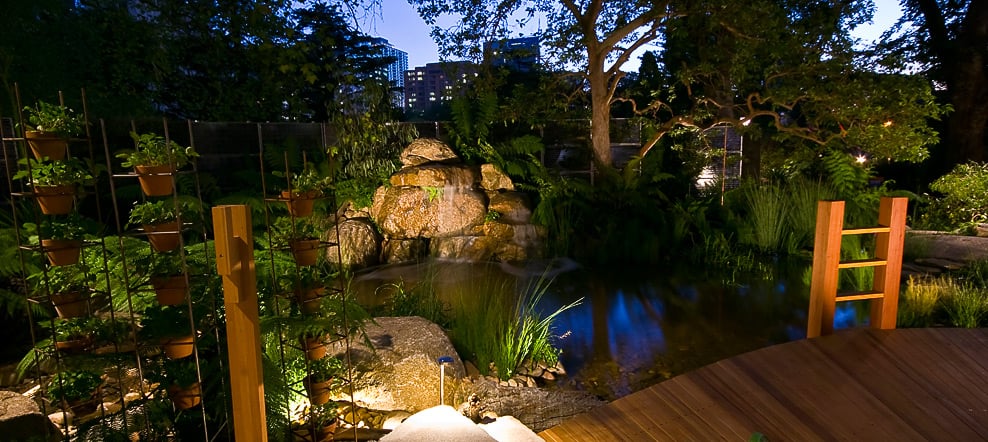 A Japanese influnced pond setting is perfectly captured.