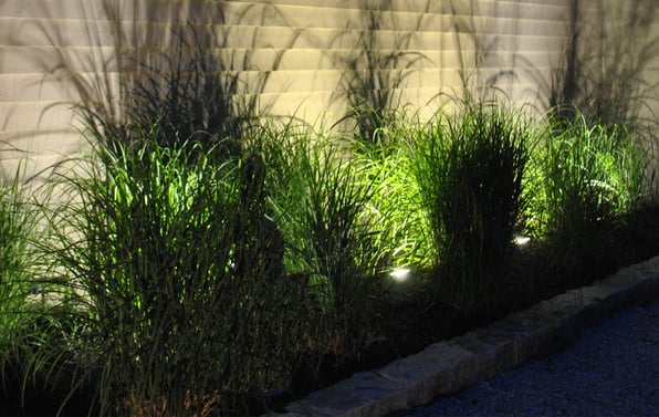 Landscape lighting showcasing shadows and silhouettes, creating depth and drama in an outdoor setting.